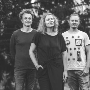 Dorota Barová Trio, foto David Peltan